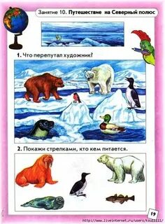 Что относится к северному полюсу 1 класс