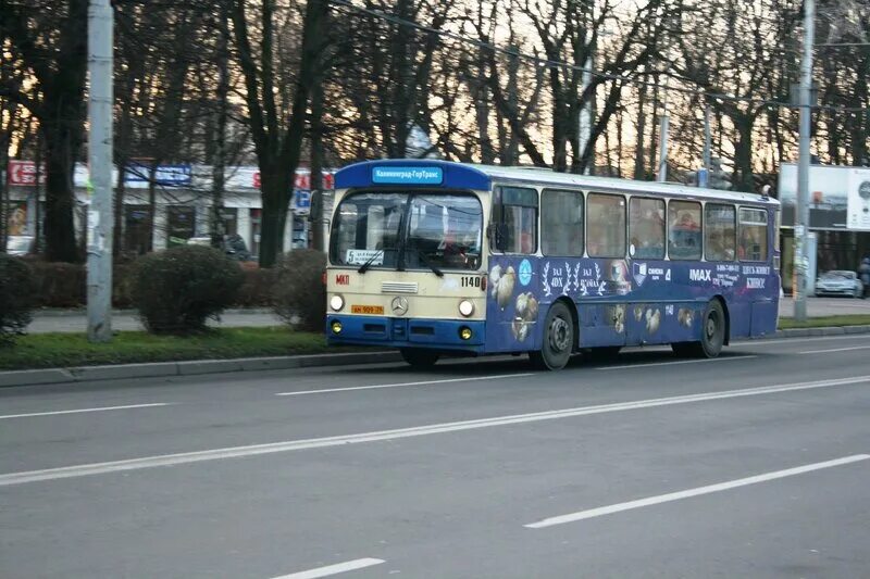 Транспорт Калининград автобус. 19 Автобус Калининград. Калининград транспорт. Самый распространенный транспорт в Калининграде.