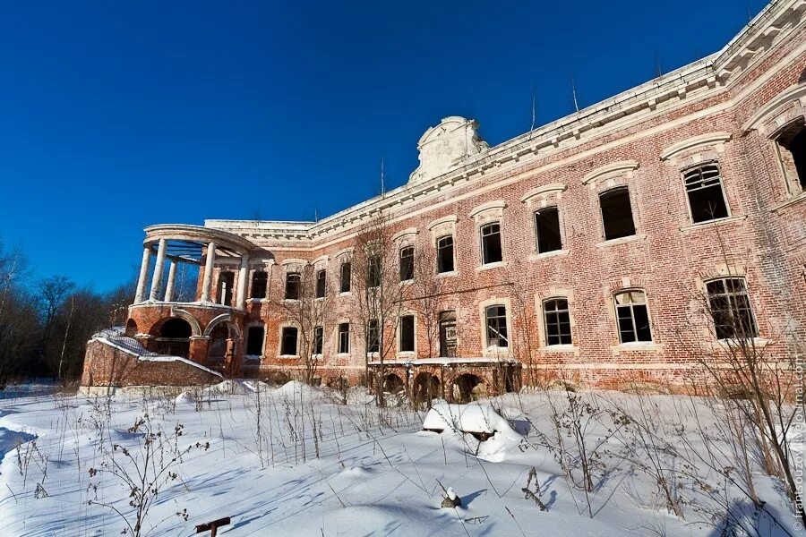 Усадьба графа орлова. Усадьба семёновское-Отрада. Семеновское-Отрада усадьба Орловых. Семёновское Отрада имение Орлова. Заброшенная усадьба Отрада Семеновская.