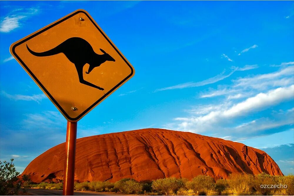 Австралия ассоциации. Live in australia. Live in australia. Live in australia. Live in australia.