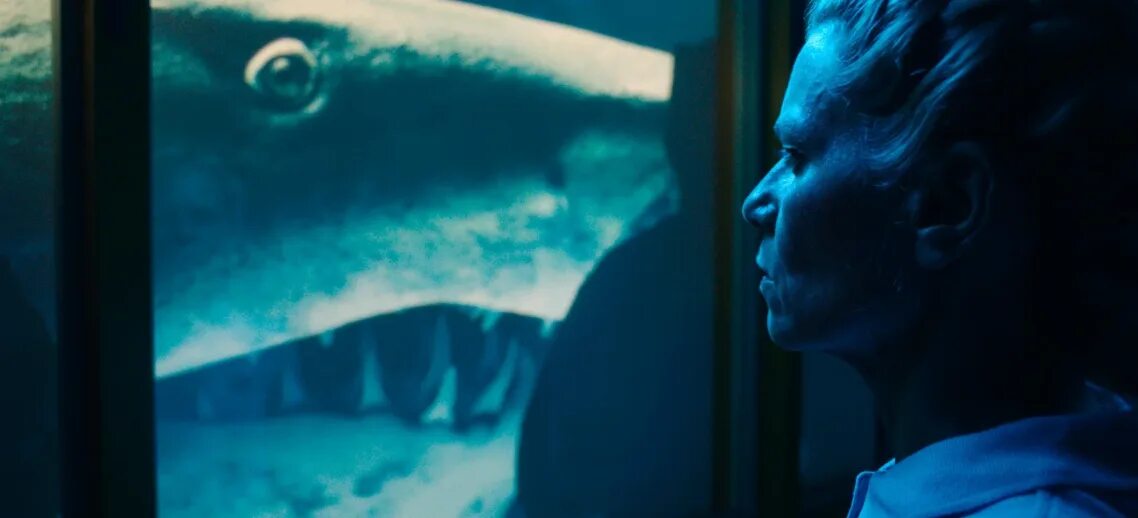 Акула 2022 год. Столкновение (shark bait) 2022. Закрытое море год акулы фильм 2022. Игрушка акула 2022 года. Акула 2022 год.