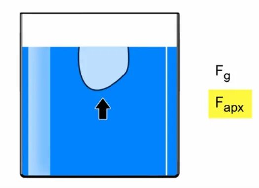 Тело погруженное в жидкость рисунок. Тело погруженное в жидкость... Приколы. Рисунок силы действующие на погруженное в жидкость тело. Вода и бензин и тело погруженное в них. Тело покоится в жидкости на каком