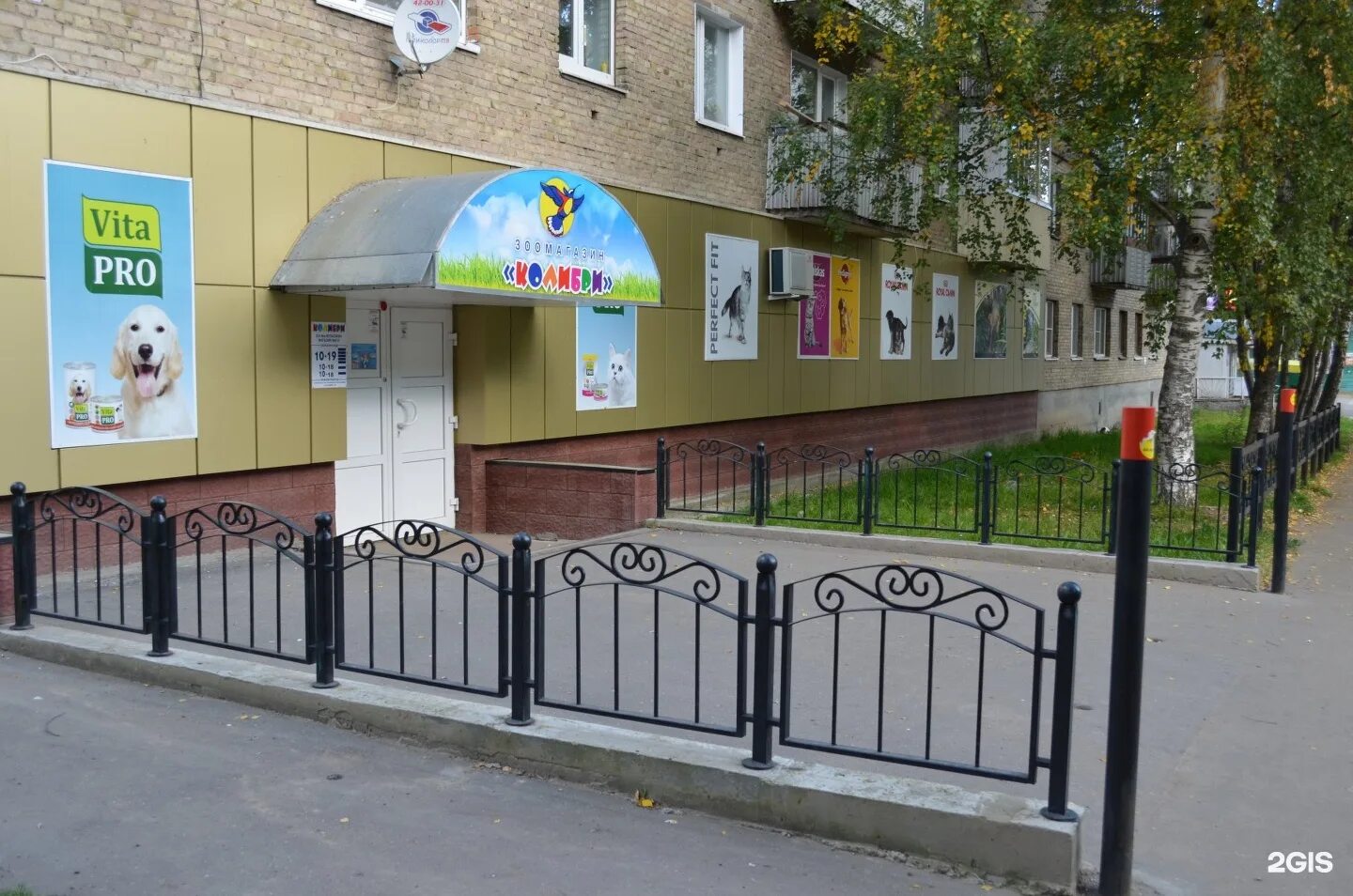 Колибри эжва. Колибри эжва. Колибри магазин для животных сыктывкар эжва. Лыткина 31 сыктывкар. Магазин колибри сыктывкар.