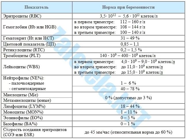 Норма лейкоцитов в крови у беременных в 3 триместре. Норма анализа крови при беременности 3. Клиническая норма общего анализа крови у беременных. Норма показателей крови у женщин при беременности. Лейкоциты в крови 3 триместр