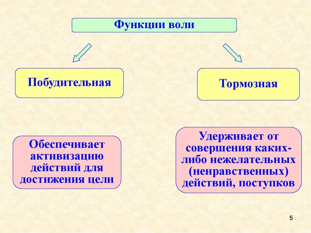 Приведите примеры побудительных и тормозных