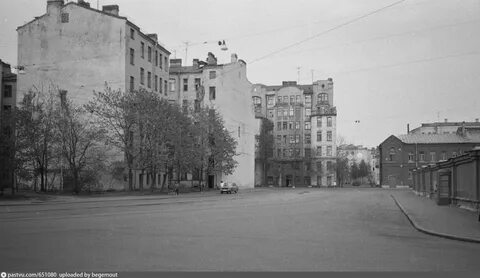 Сорок старый