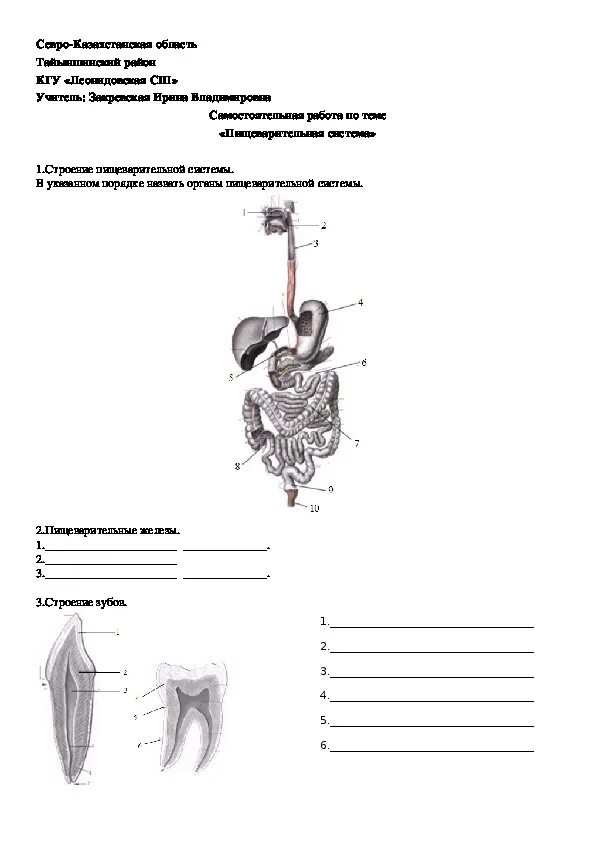 Пищеварительная система 8 класс биология. Самостоятельная по биологии 8 класс пищеварительная система. Тема по биологии 8 класс пищеварительная система и пищеварение. Задания по теме пищеварение 8 класс биология.