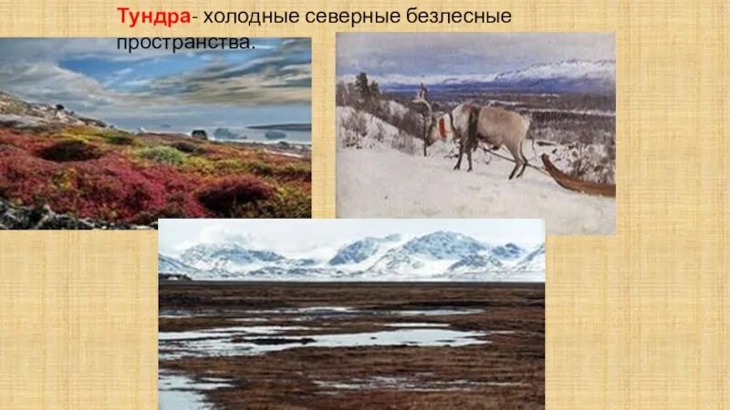 Северные безлесные зоны 8 класс полярная звезда