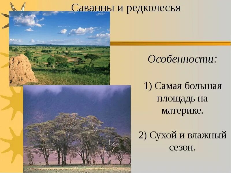 Саванны и редколесья Африки. Природные зоны Африки саванны и редколесья. Саванны и редколесья растения. Характеристика саванны и редколесья. Половина материка занимают саванны и редколесья