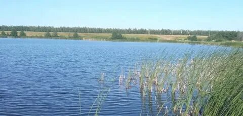Тамбовские пруды