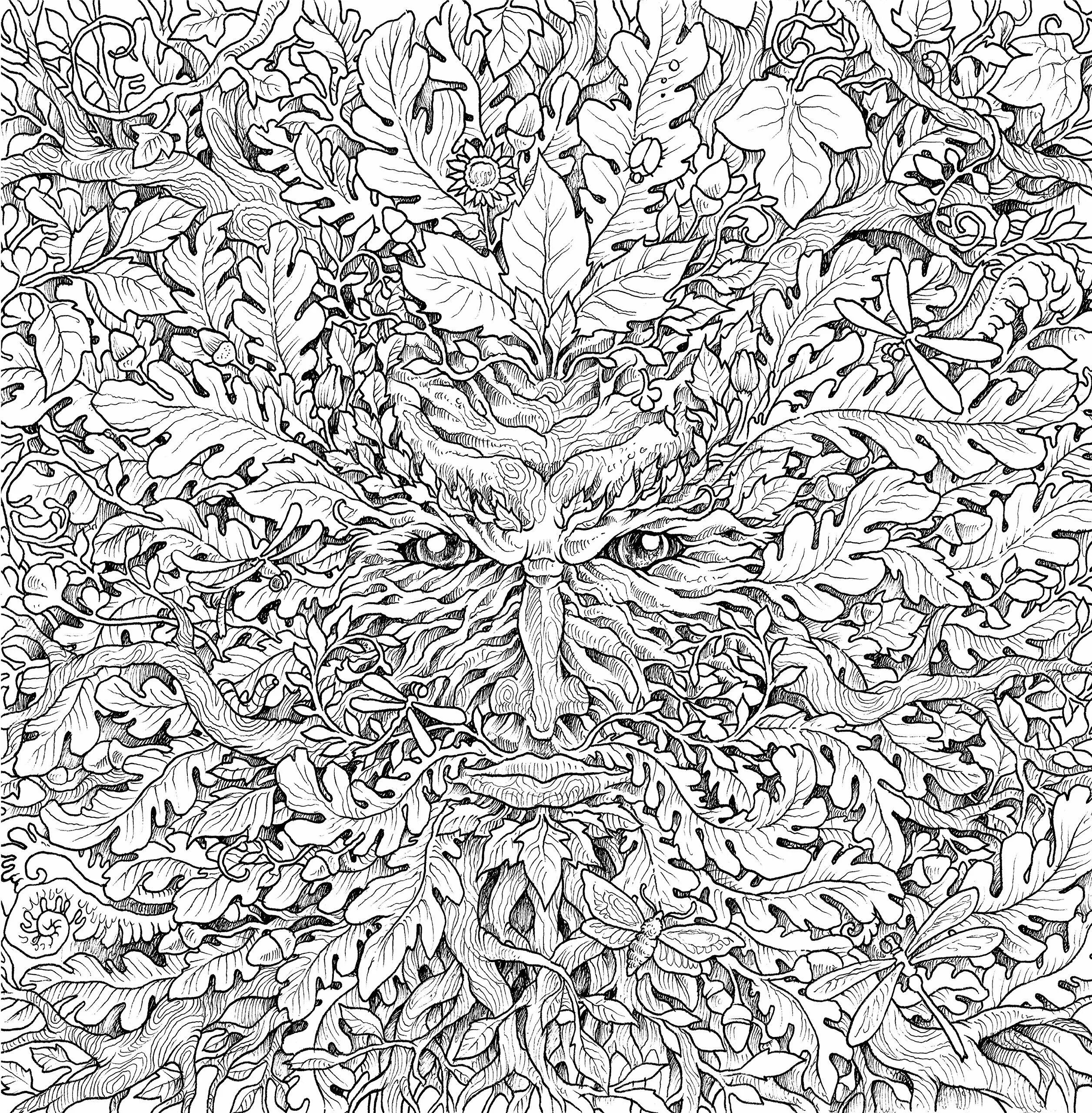 Тяжелые рисунки. Mythomorphia Kerby Rosanes. Раскраски для взрослых. Раскраски сложные. Сложный орнамент.