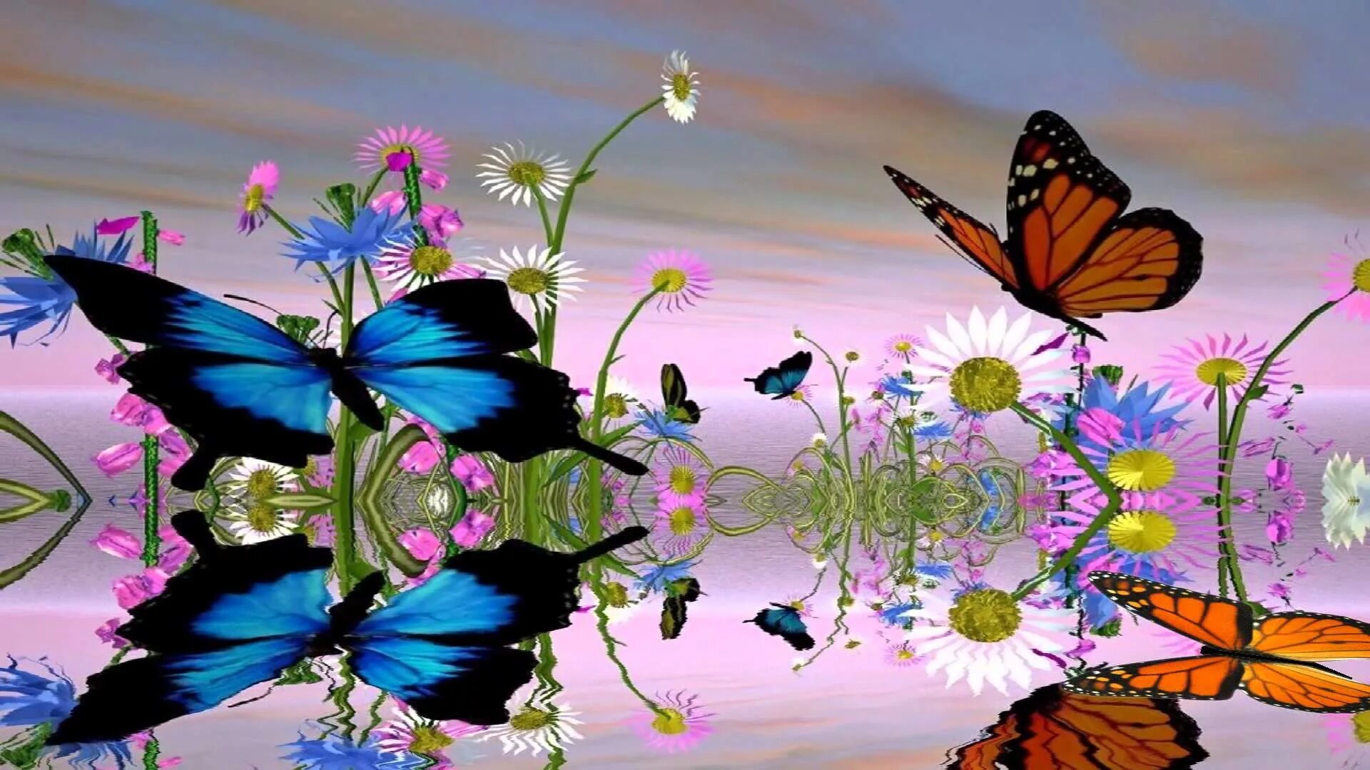 Бабочка на цветке. Фон бабочки. Красивый фон с бабочками. Сверкающие бабочки. Заставка на экран телефона двигающиеся