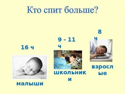 Все спят кто же
