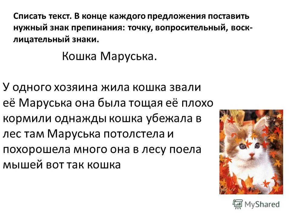 Расставить точки в предложении 1 класс. Поставить точки в тексте. Списать текст. Поставить точки в тексте. Поставить точки в тексте.