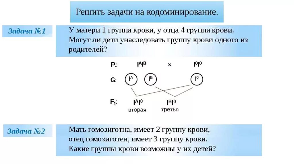 Задачи на кодоминирование группы крови. Кодоминирование на примере групп крови. Генетические задачи по биологии на группу крови. Решение задач по генетике на кодоминирование с решением. Кодоминирование группы крови