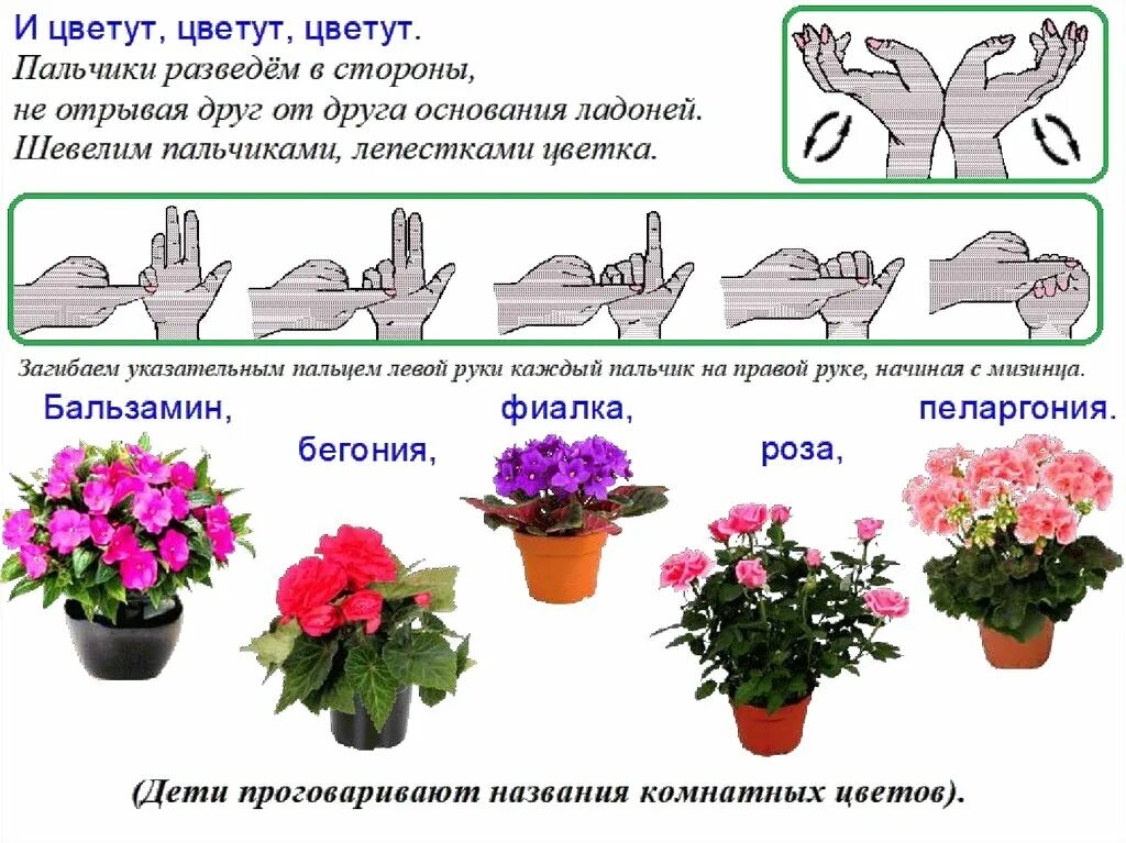 Планирование цветы средняя группа. Пальчиковая гимнастика комнатные цветы. Пальчиковая про цветы. Пальчиковая игра комнатные растения. Лексическая тема комнатные цветы.