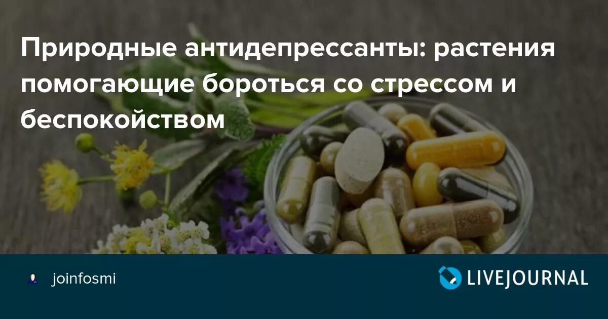 Не подходят антидепрессанты. Антидепрессанты. Природный антидепрессанты растения. Природные транквилизаторы и антидепрессанты. Натуральные антидепрессанты.