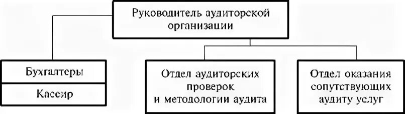 Состав аудиторской организации. Организационная структура аудиторской фирмы. Организационная структура аудиторской компании. Орг структура аудиторской фирмы. Структура управления аудиторской фирмы.