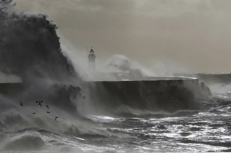 During storm. Шторм Иуда Петербург Святой. Шторм на финском заливе. Шторм в СПБ. Стихия.