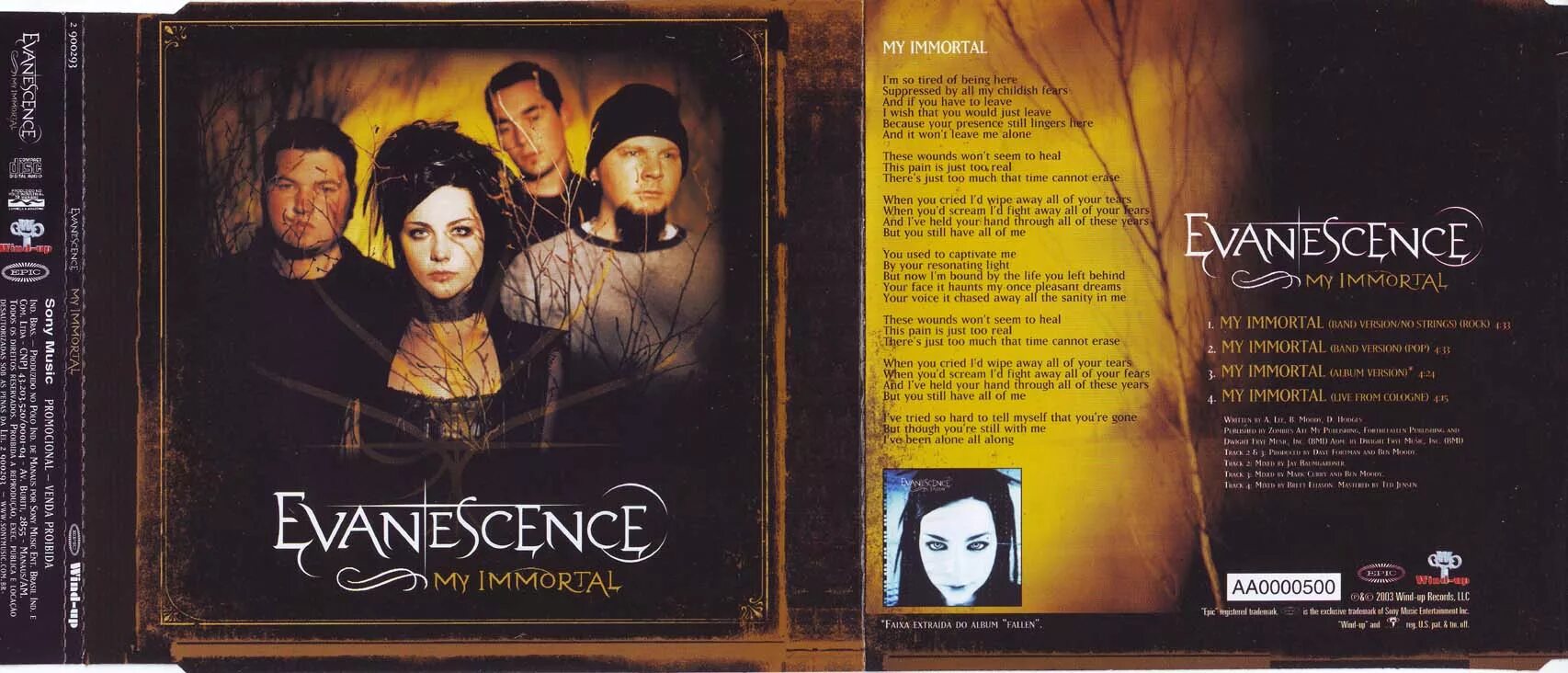 Песня my immortal. My Immortal. Evanescence my Immortal текст. My Immortal обложка. Evanescence - my Immortal (Band Version) год.