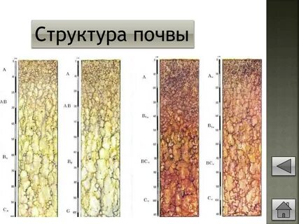 Различие почв бесструктурные заполните схему
