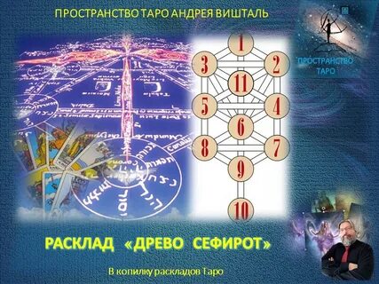 Древо таро