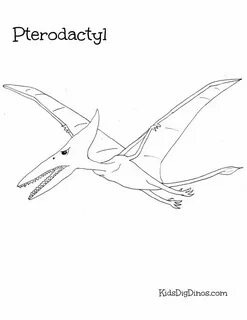 Pterodactyl installer