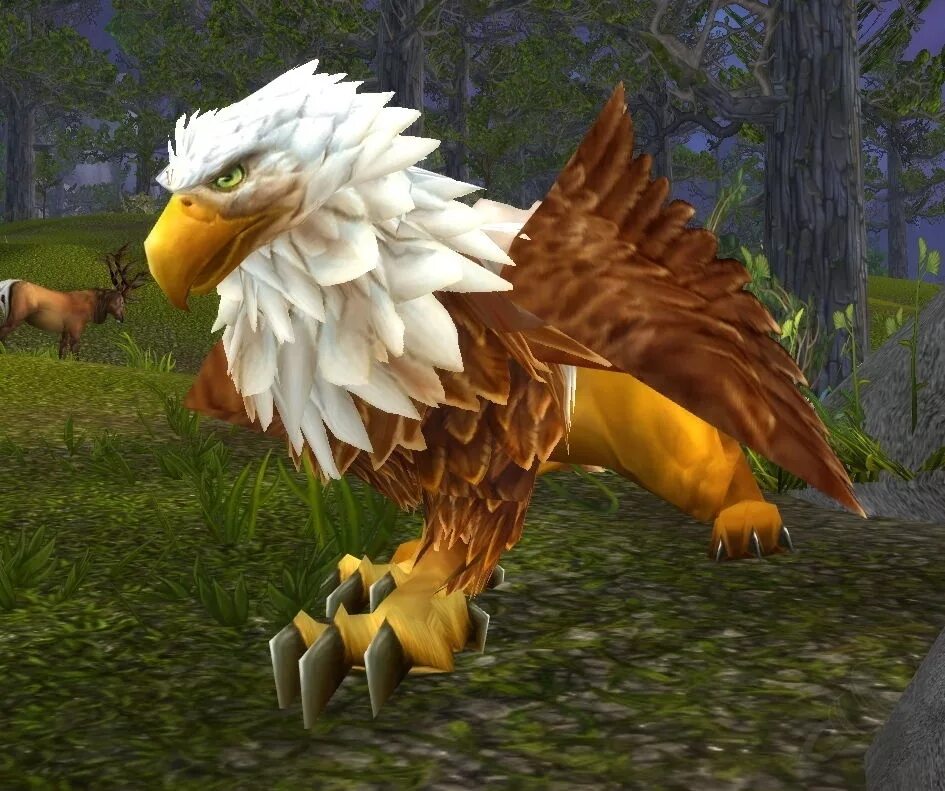 Грифон ведьмак 3. Грифон 3d модель. Архигрифон ведьмак. Грифон. Гриффон 3д модель.