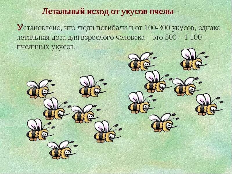 Проект про пчел 4 класс Проект пчёлы презентация онлайн