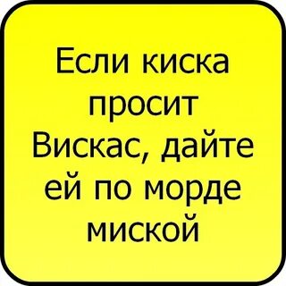 Статусы зу