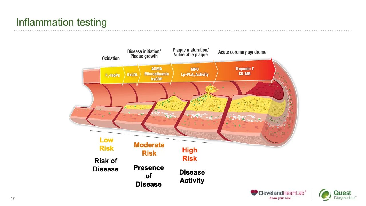 Heart score 2. Cardiovascular Assessment Pediatrics. Cardiovascular Engineering and Technology Journal. Score2