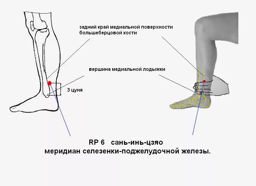 Точка rp6 Сань-Инь-Цзяо точка. Точка Сань Инь Цзяо расположение. Массаж точки Сань Инь Цзяо. Точка Сань Инь Цзяо для женщин.