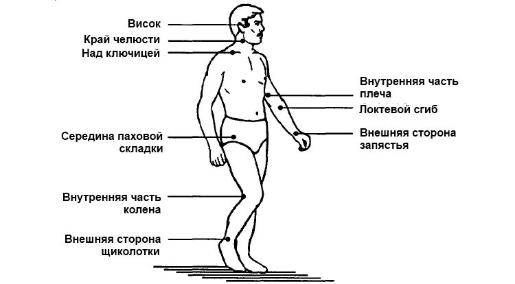 Точки пальцевого прижатия артерий схема. Схема точек пальцевого прижатия. Места прижатия артерий схема. Места прижатия артерий при кровотечениях анатомия.