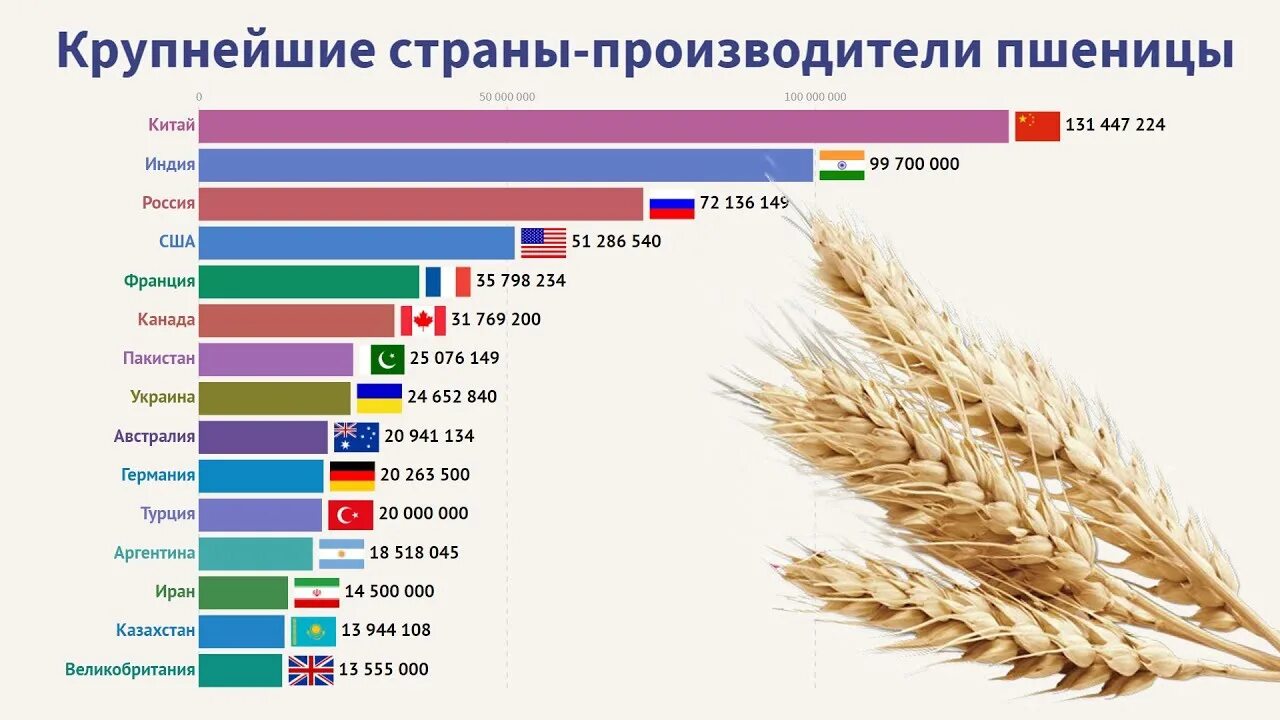 Страны производители пшеницы 2021. Крупные производители и экспортеры пшеницы в мире. Производители зерна в мире самые крупные. Лидеры по производству пшеницы в мире. Крупнейшим производителем пшеницы является