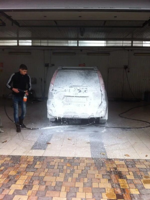 Автомойка на герцена. Коты на автомойке. автомойка герцена 152.