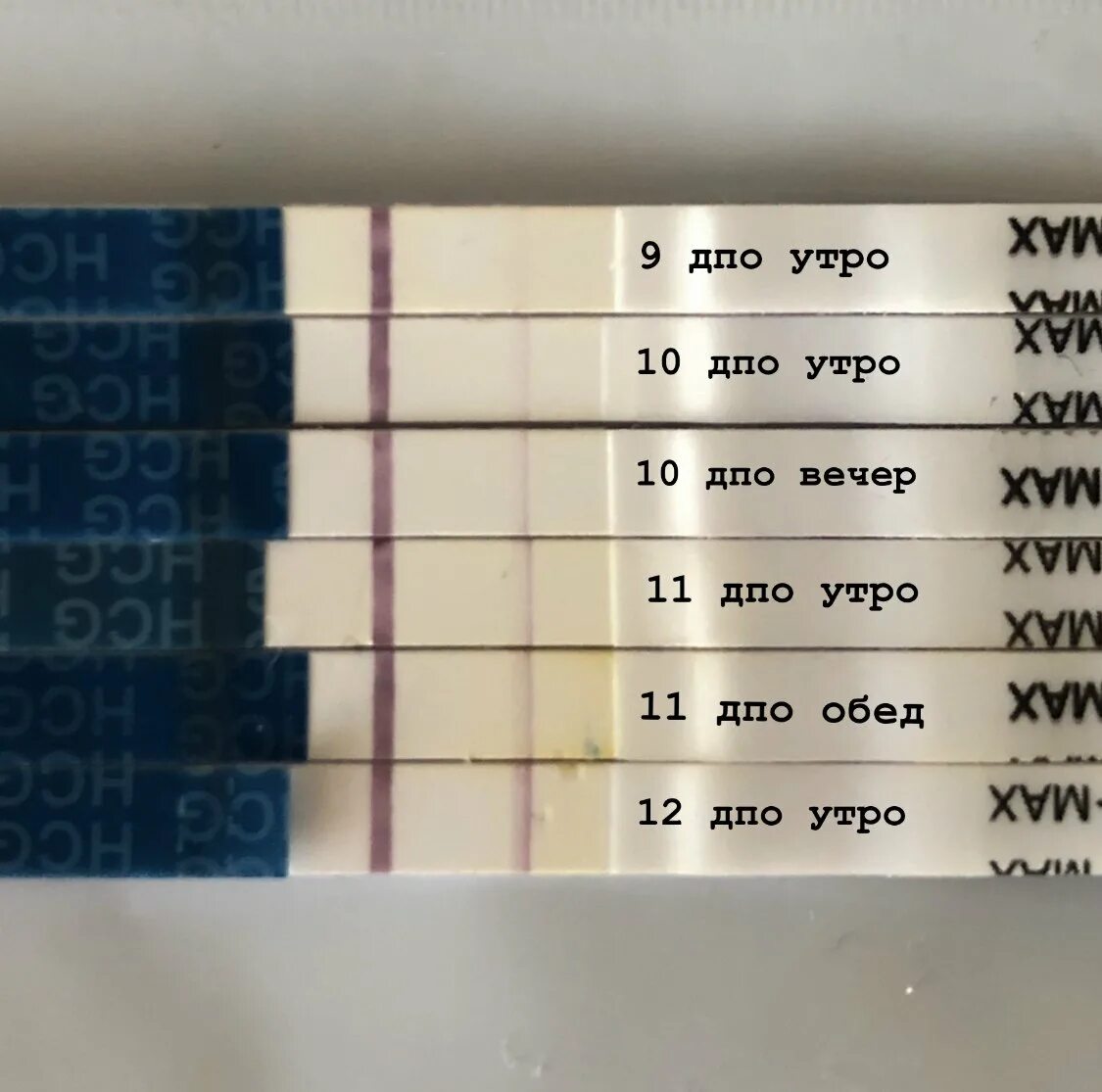 Овуляция после укола хгч. 10 ДПО эвитест динамика. Тесты на беременность по дням ДПО. 12 ДПО тест отрицательный. 10 ДПО тест на беременность положительный.