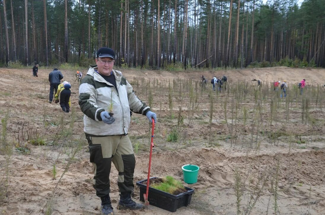 Минприроды 50. Министерство природных ресурсов и экологии Марий Эл. Министерство лесного хозяйства Йошкар-Ола. Министр лесного хозяйства Йошкар Олы. Куярский лесхоз Марий Эл.