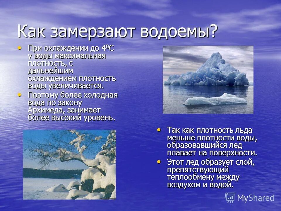 Как замораживаются водоемы. Как замерзают водоемы. Замерзание воды в водоеме. С охлаждением воды плотность воды. Замерзание воды образование