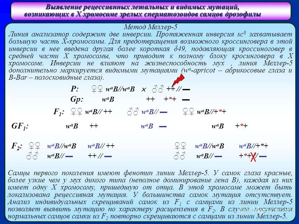 Выявление геномных мутаций метод. Выявление геномных мутаций метод. Метод диагностики генных болезней. Генетической исследование на онкологию. Выявление геномных мутаций метод.
