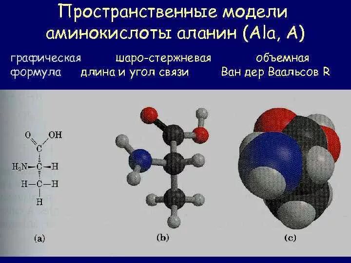 Aldehid. Аланин химия. Аланин пространственное строение. Sp3 гибридизация углерода. Типы гибридизации атомных орбиталей и структура молекул.