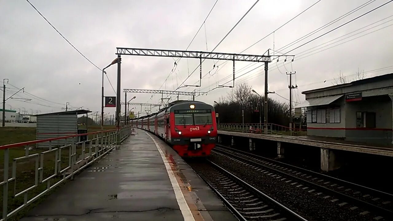 Эд4м Узуново. Электропоезд эд4м 0442. Эд4м Москва Узуново. Электричка эд4м Москва Узуново. Электрички направления узуново