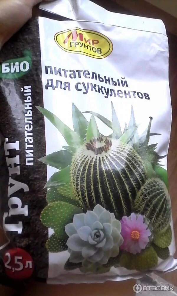 Подходящий грунт для суккулентов. Грунт суккулентов мир грунтов. питательный грунт для суккулентов. специальный грунт для суккулентов. суккуленты грунт камни.