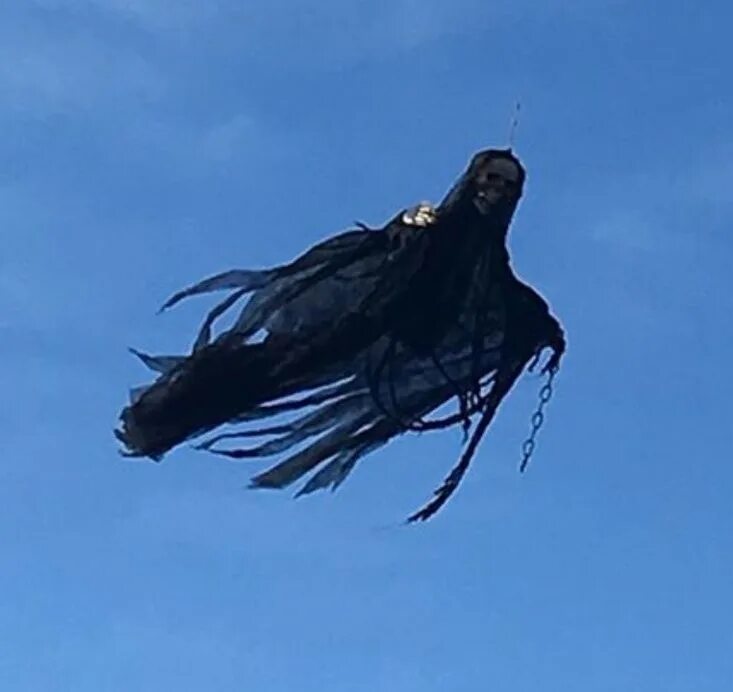 летающий ужас. летающий ужас. мананангал филиппинский вампир. бледный гладконос. человек увидел нечто большое с крыльями ночью летающее.