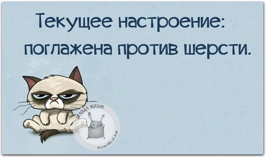 Почему у меня есть настроение. Статусы про плохое настроение. фразы про плохое настроение. смешные высказывания про плохое настроение. статус про испорченное настроение.