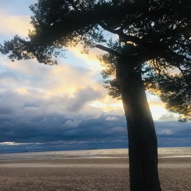 Весна радость счастье. Берегите свой очаг семьи. Дети выросли стихи. Девушка светится от счастья. Удивите ясная.