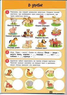 Развивающие речевые занятия