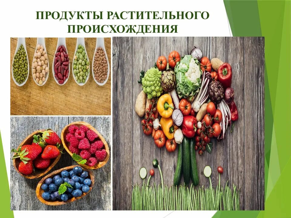 5 растительных продуктов