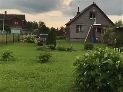 Дачи александровой