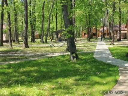 Ласточка воронеж