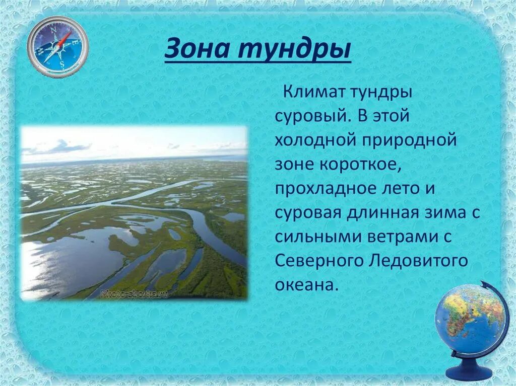 5 зон сообщения. Презентация на тему природные зоны России. Продукт на тему прироодные зоны России. Доклад о природной зоне. Проект об одной природной зоне.